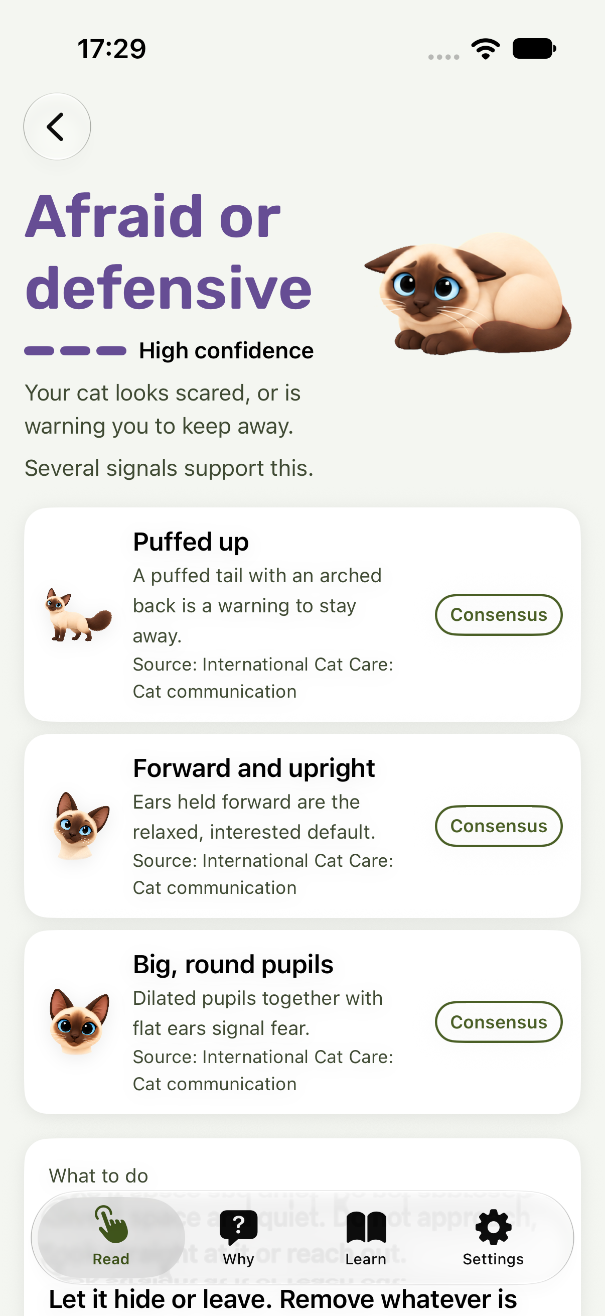 A result screen with a mood, a confidence level and what to do