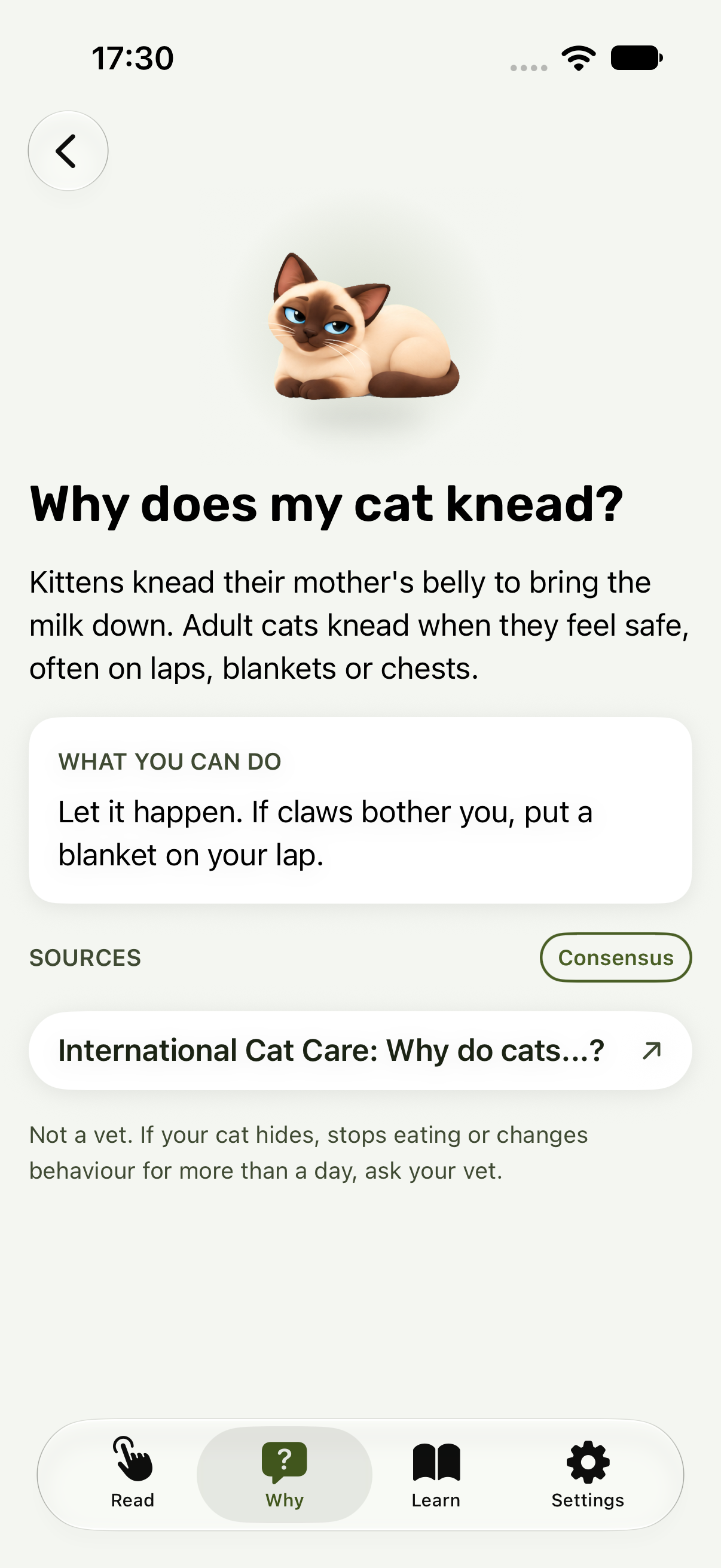 An answer to Why does my cat knead, with sources